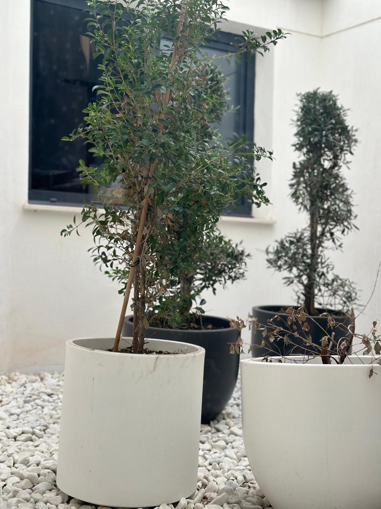 Hostel Alicante A-Cero Living Luaran gambar